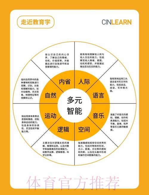 深度剖析世界杯平台的核心服务与多元功能
