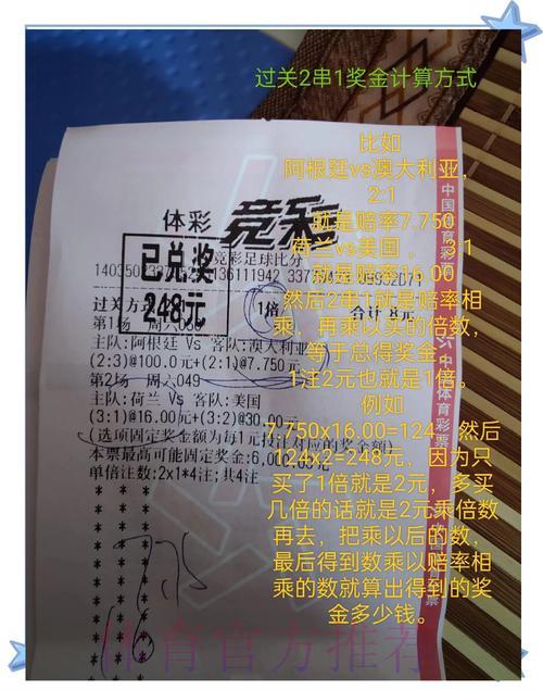 世界杯竞猜投注心得分享，从入门新手到资深玩家的进阶之路