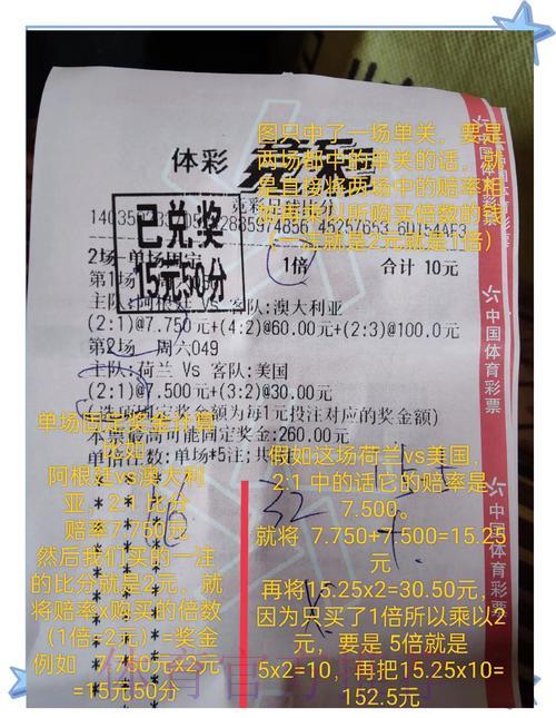 世界杯竞猜投注心得分享，从入门新手到资深玩家的进阶之路